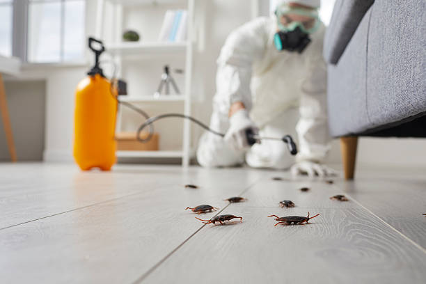 Commercial Kitchen Cockroach Control in Waldo